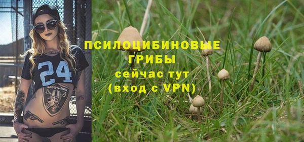 spice Волоколамск