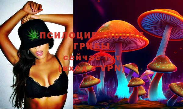 spice Волоколамск