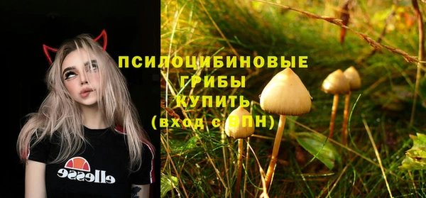 ешки Волосово